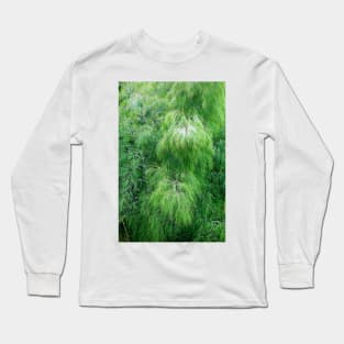 Lavender Farms Study 17 Long Sleeve T-Shirt